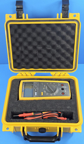 Fluke 233 remote display - remote, meter